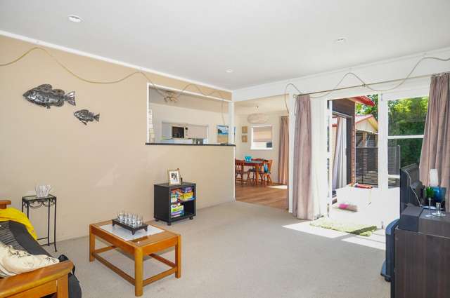 301 Hetherington Road Whangamata_4