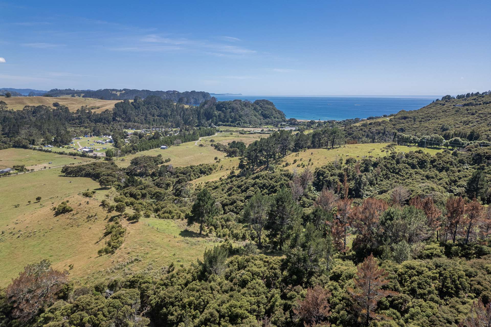 Lot 25/104 Taiwawe Lane Hot Water Beach_0