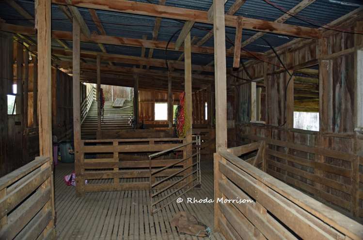 726 Paparoa Station Road Maungaturoto_76