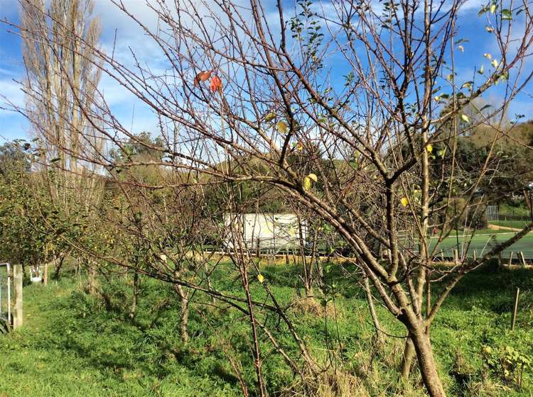 29 Bruce Street Hunterville_15