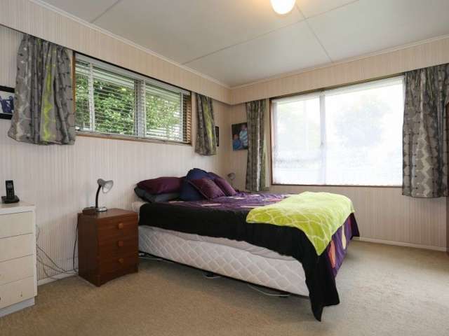 1067 Kauri Street Mahora_3