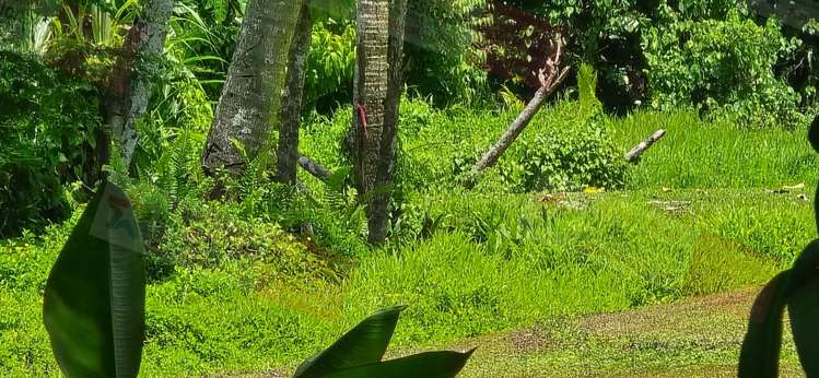 Address withheld Pacific Harbour_5