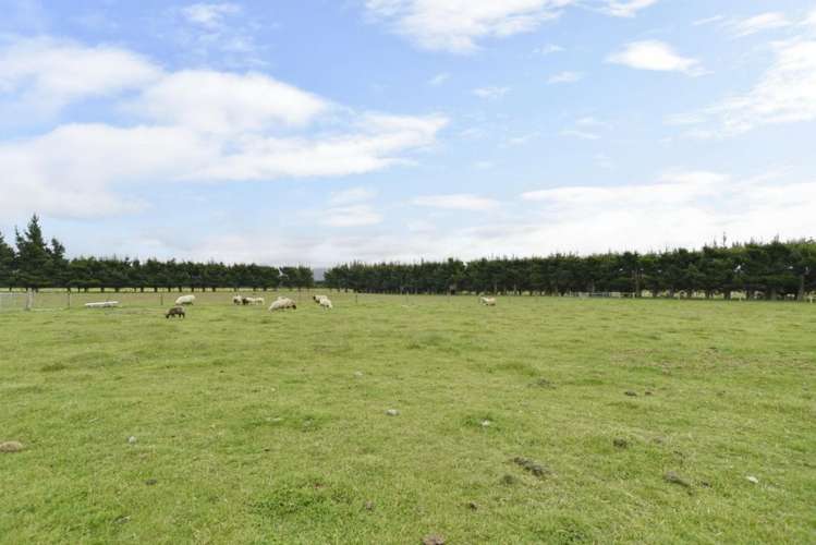 443 Ashley Road Cust_28