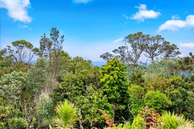 87 M Greenwood Road Leigh_4