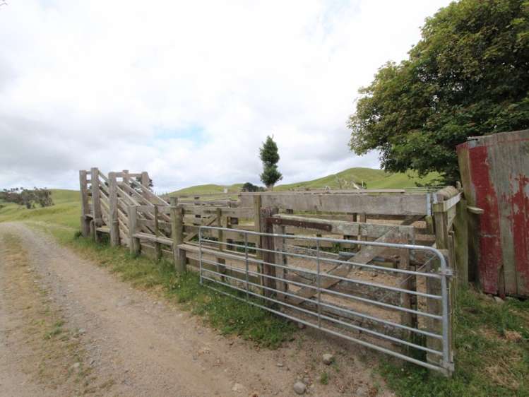 127 North Road Eketahuna_13