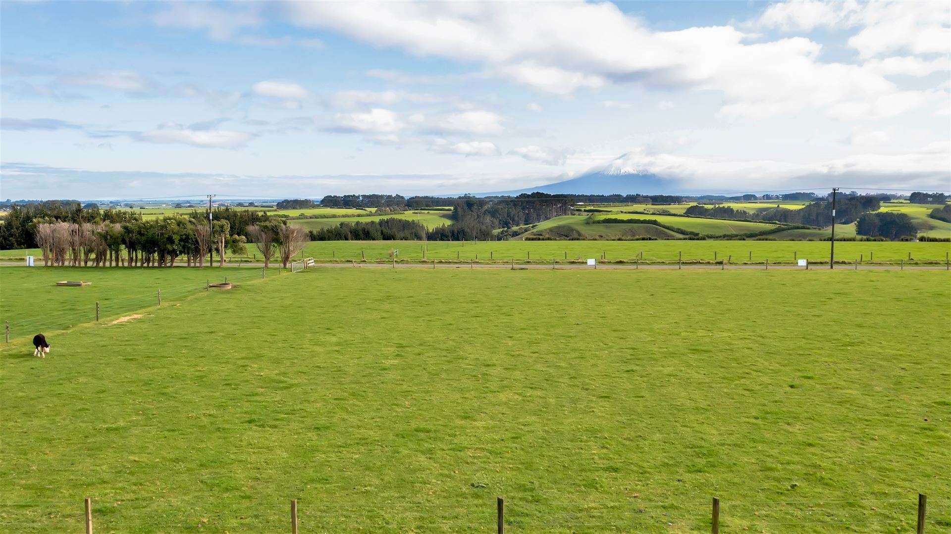 Lot 8,9,11/287 Ngawhini Road Hawera_0