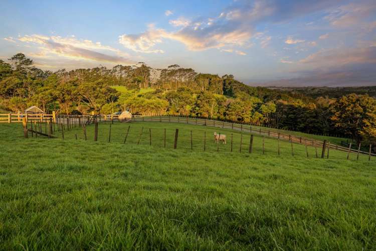 153 Waikoukou Valley Road Waimauku_14