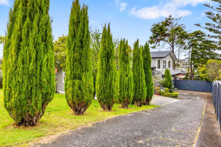 14 Tropicana Drive Mt Roskill_19
