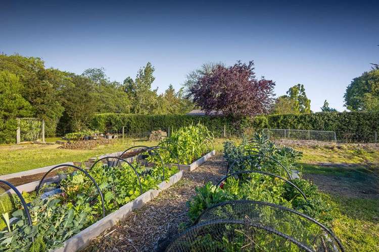 102 Tricketts Road West Melton_25