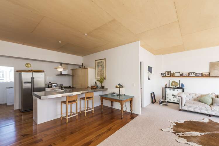 19 Williamson Avenue Grey Lynn_7