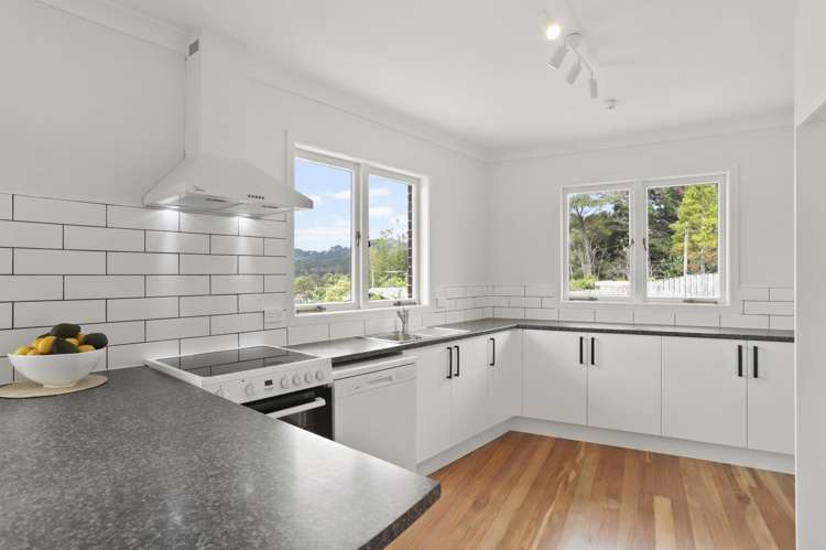 22 Shetland Street Glen Eden_7