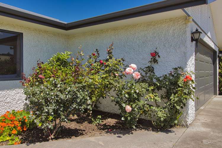 71 Avenue Road Greenmeadows_19