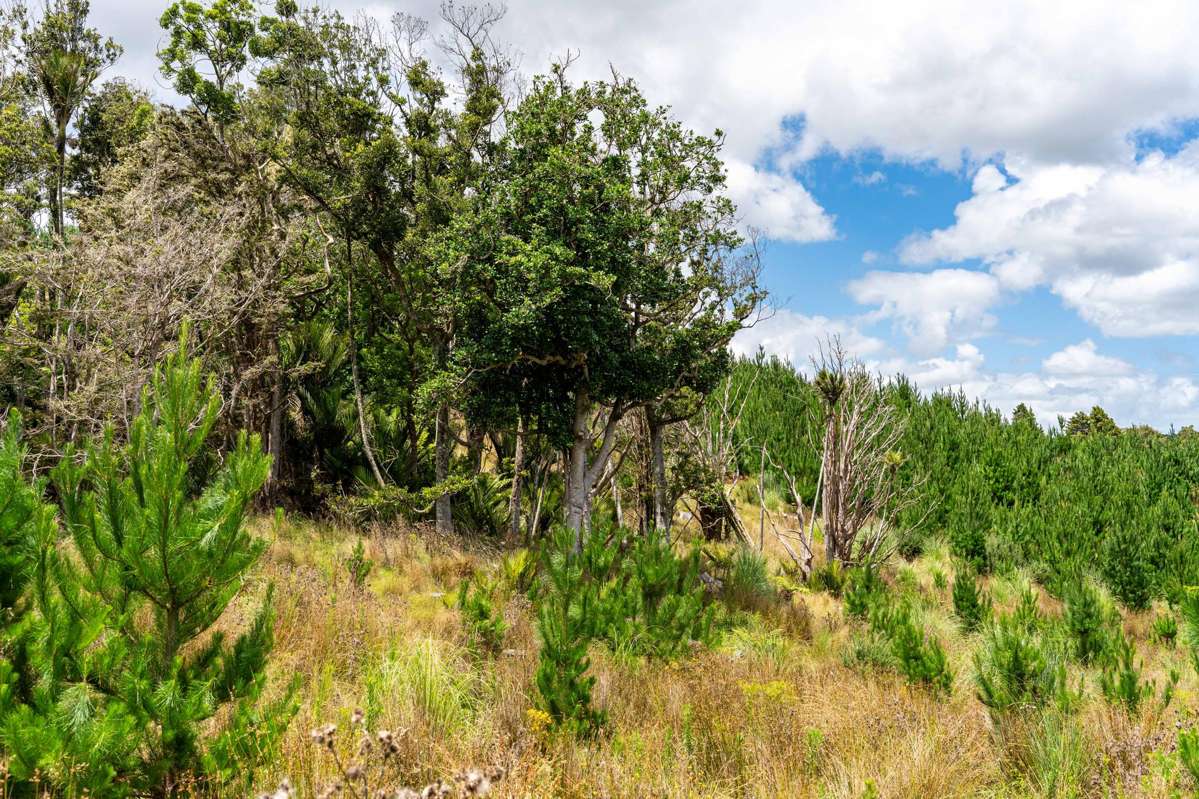 Lot/12 Arcadia Road_1