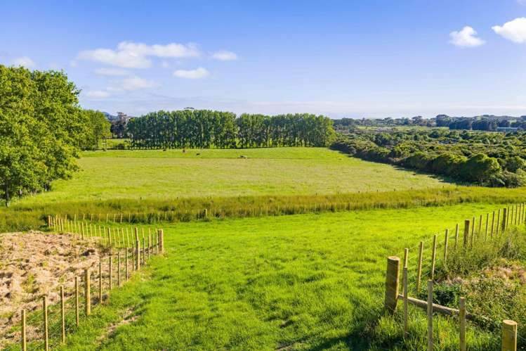 42 Ocean Sounds Place (Proposed Lots 4 and 5) Mangawhai_10