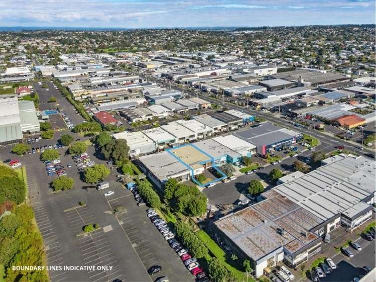 7 Goldfield Wairau Valley_5