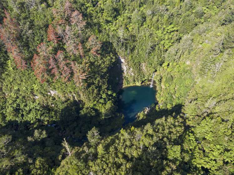 24 Sarona Park Drive Kaimai_18