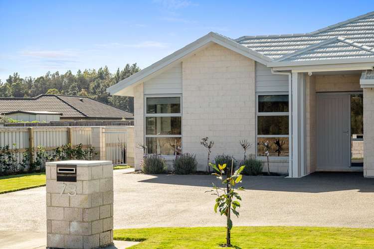 73 Turnbull Drive Witherlea_32
