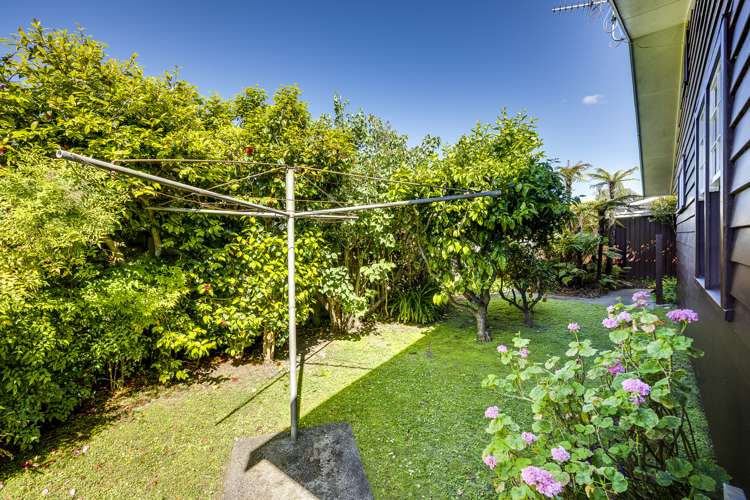 10 Mckenzie Avenue Marewa_24