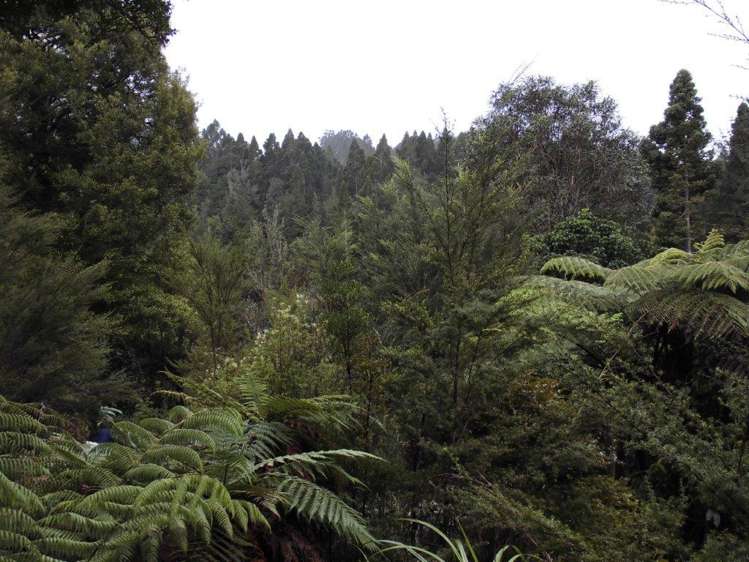 509a Old Maratoto Road Hikutaia_9