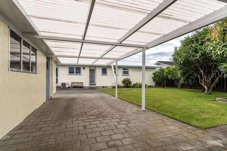 31 Plunket Street Tamatea_10