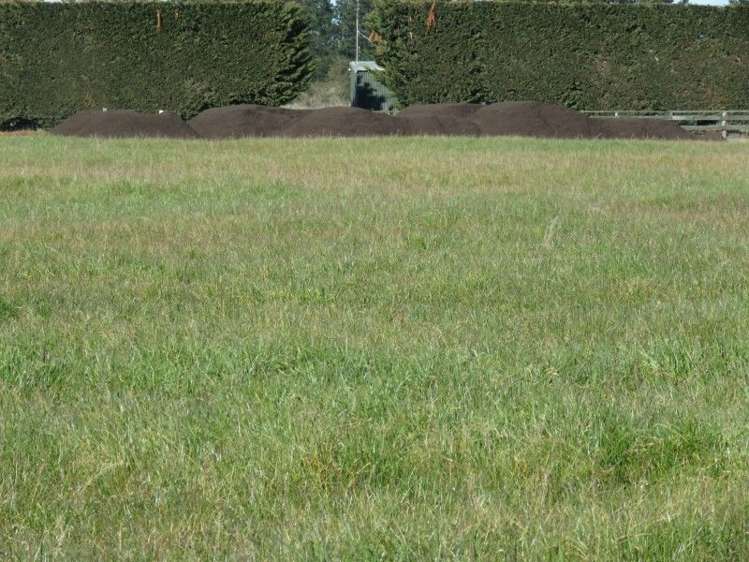 1035 Newland Road Clandeboye_15