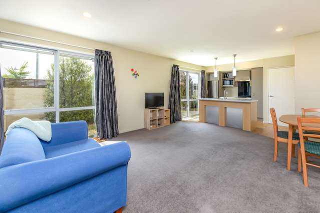 47 Picton Avenue Riccarton_3