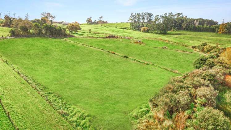 59A Wilks Road West Dairy Flat_10