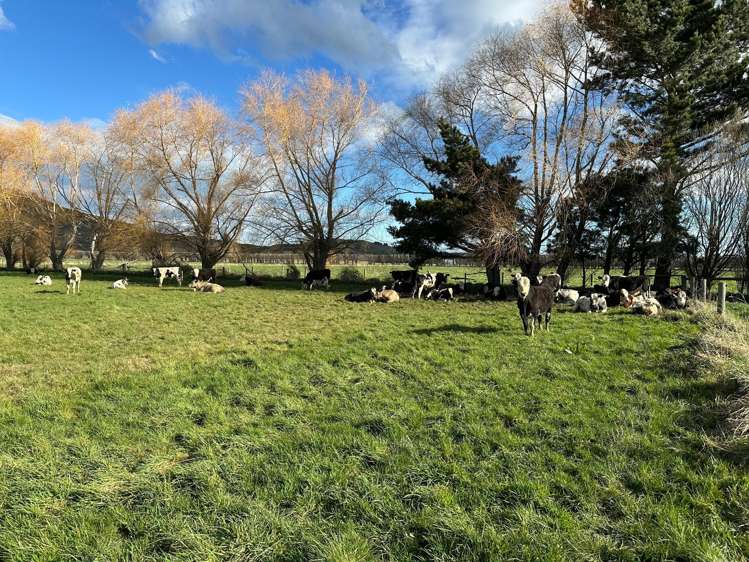 130 Bruce Road Momona_6