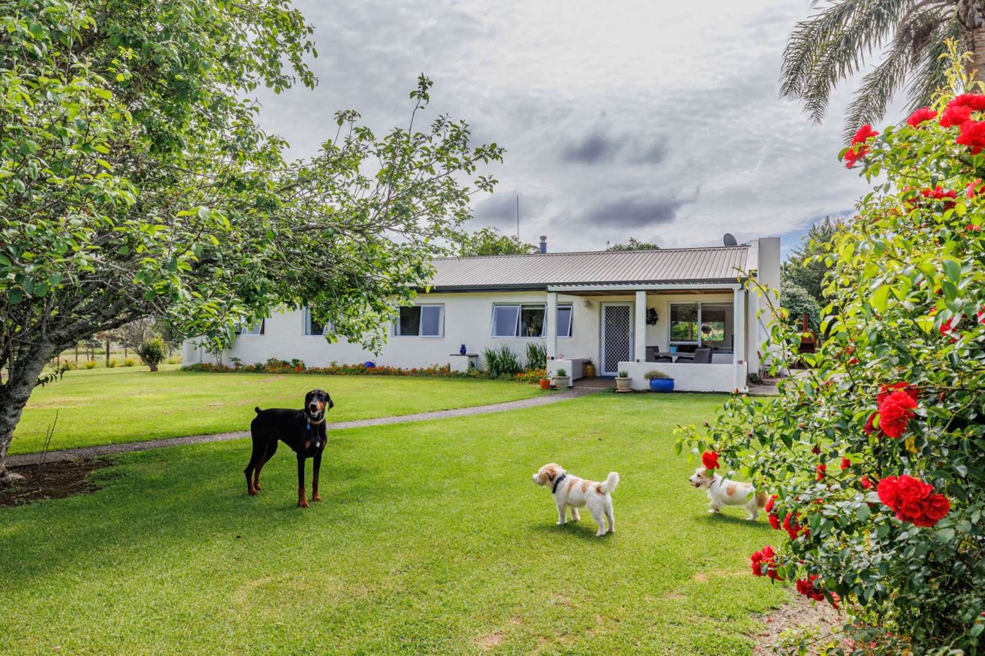 408 Waimate North Road Kerikeri_0