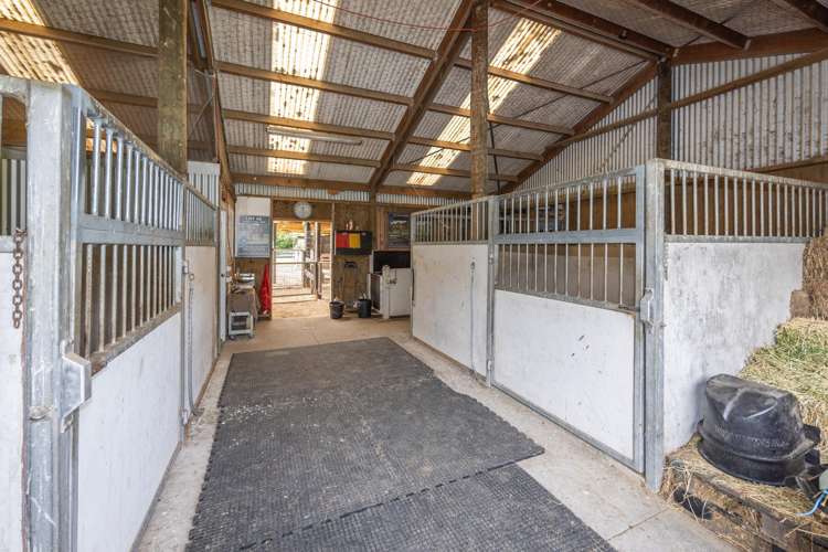 35 Taplin Road Matangi_26