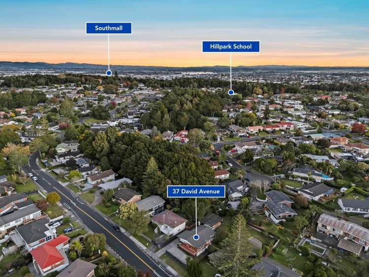 37 David Avenue Hillpark_31
