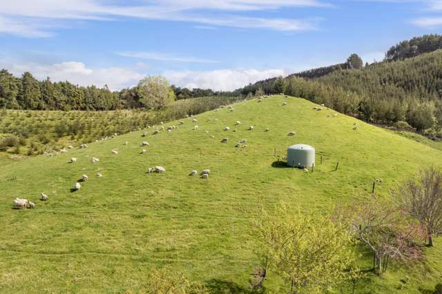 225A Woodland Road Katikati_3