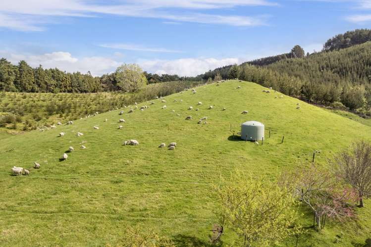 225A Woodland Road Katikati_3