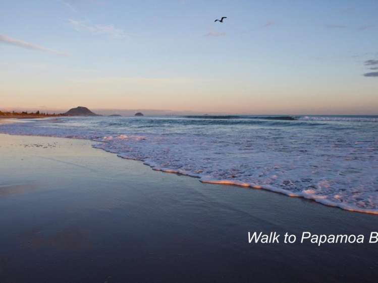 53 Awatira Drive Papamoa_8