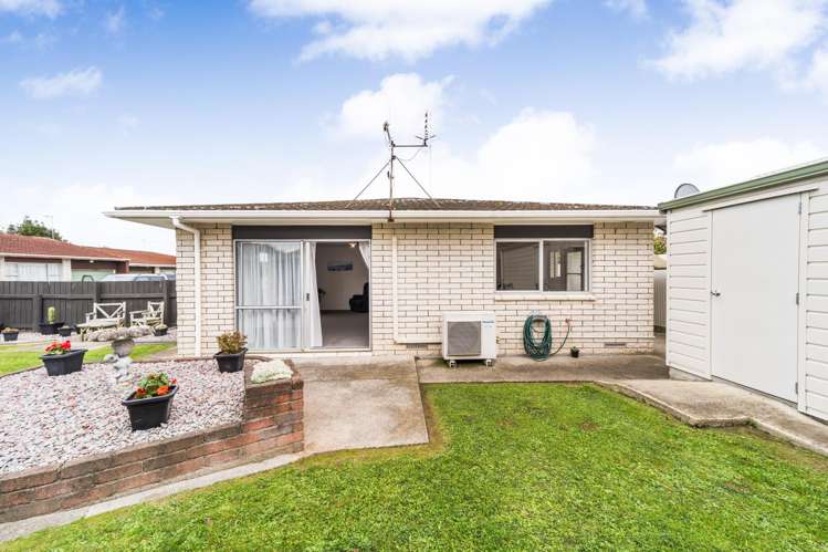 79A Vogel Street Roslyn_10