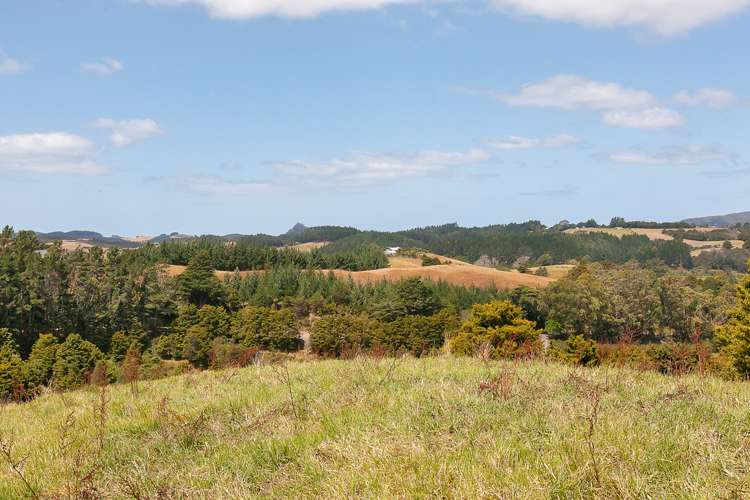 259a Taraunui Road Parua Bay_5