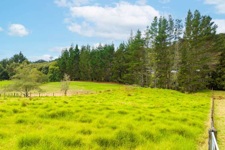 73 Wright Road Dairy Flat_15