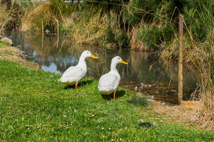 27 Sandy Knolls Road Burnham_24