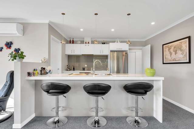 42 Curtis Street Stoke_1