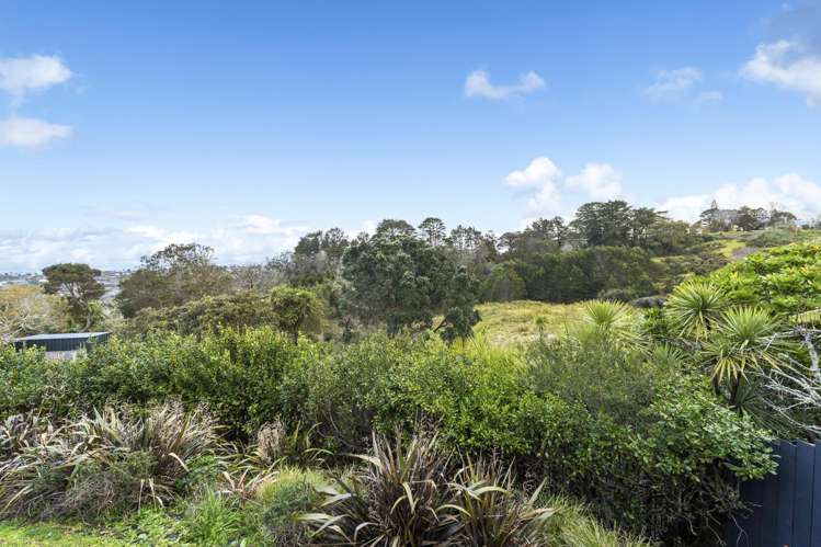 94 Lake Panorama Drive Henderson_36