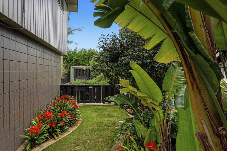 4 Walter Park Whakatane_27