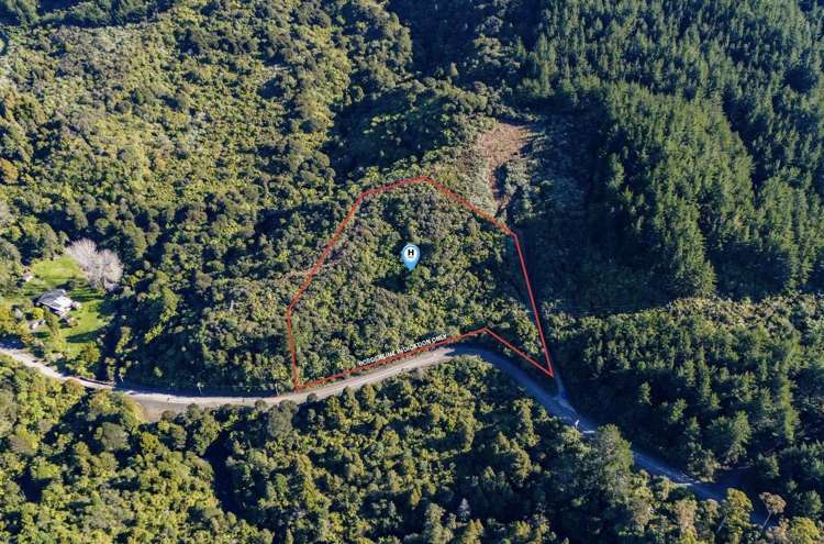 694 The 309 Road, Waiau_2