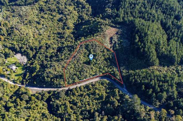 694 The 309 Road, Waiau Coromandel_2