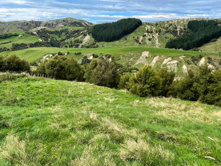 643 Glengarry Road Puketapu_15