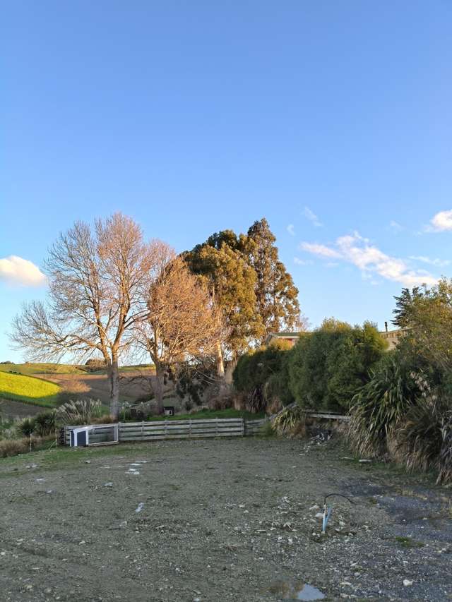 24c Thurso Street Lawrence_3