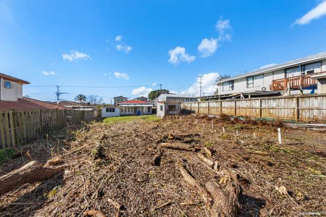 27 Astley Avenue New Lynn_1