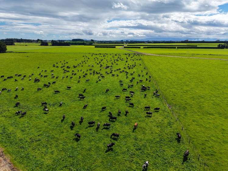 296 Oporo Flat Road Oporo_6