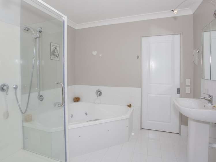 41 Dittmer Drive Awapuni_24