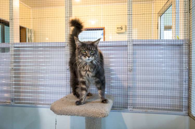 236 Lord Rutherford Road Brightwater_15