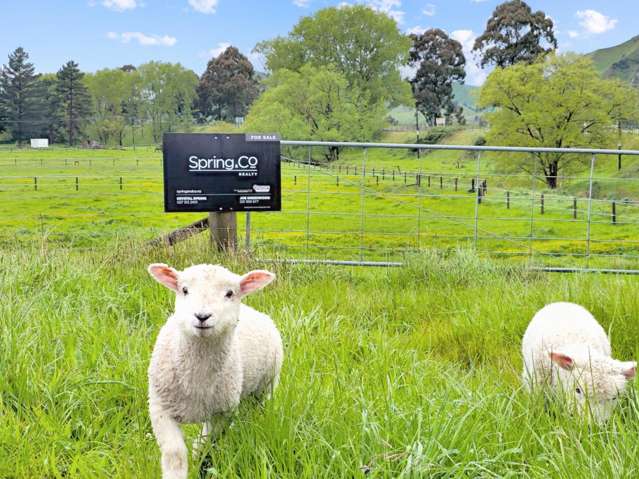 28 Kakariki Street Mangaweka_2